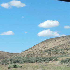 Meet your Posher, Teagan